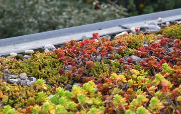 the cost of Longwood green roof installation