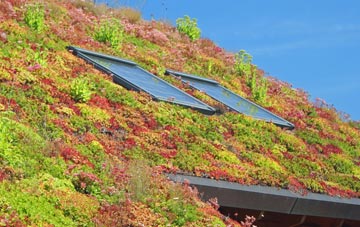 Longwood living roof systems