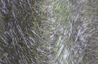 Longwood fibreglass roof work